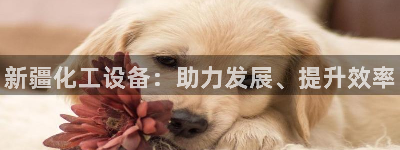 天辰平台用户注册