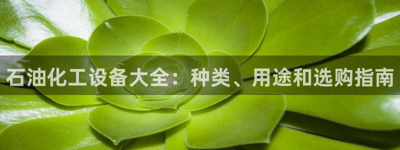 天辰网会员多少钱