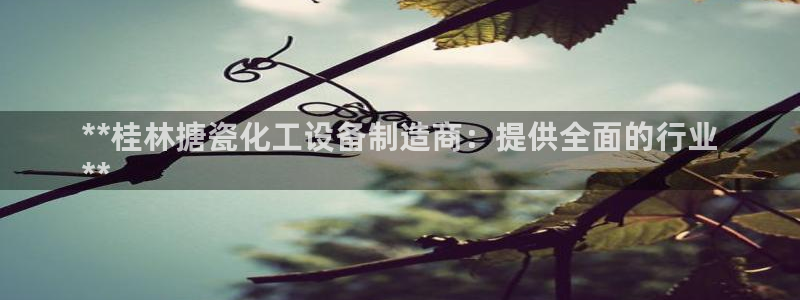 天辰平台游戏退款