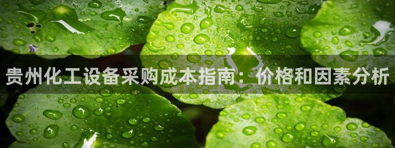 天辰平台注册登录地址怎么改不了