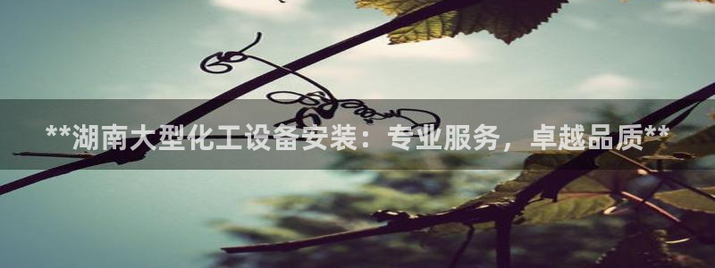 天辰平台用户登录不了怎么办