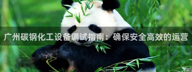 天辰平台测速登录失败
