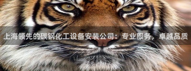 天辰娱乐的老板是谁