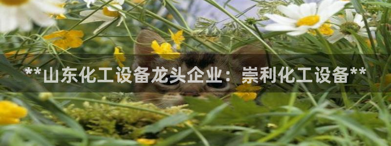 天辰平台连接