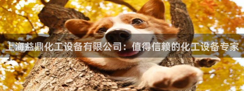 天辰娱乐百度百科官网