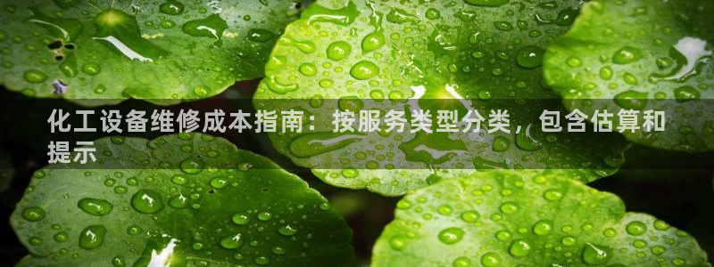 天辰平台测速登录不上怎么办