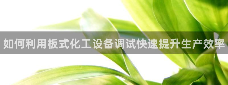 天辰平台价 411O31 平台