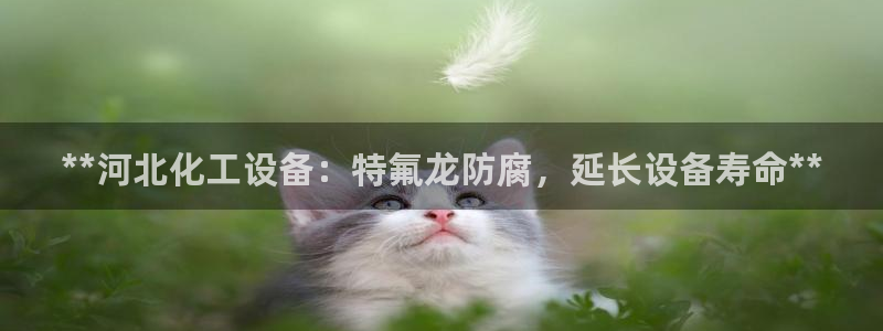 天辰娱乐平台是黑网吗是真的吗
