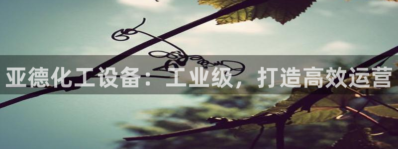 天辰娱乐都是干什么的公司