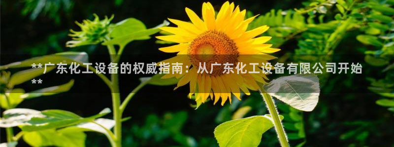 天辰平台某7O777