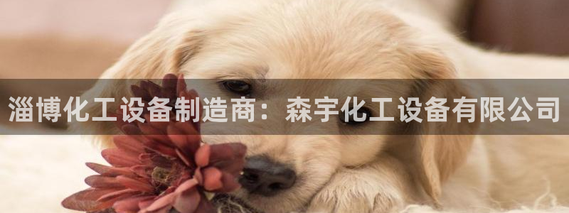 天辰平台用户登录失败什么原因