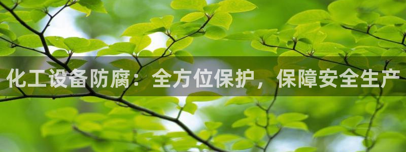 天辰平台网址是多少：化工设备防腐：全方位保护，保障安全生产