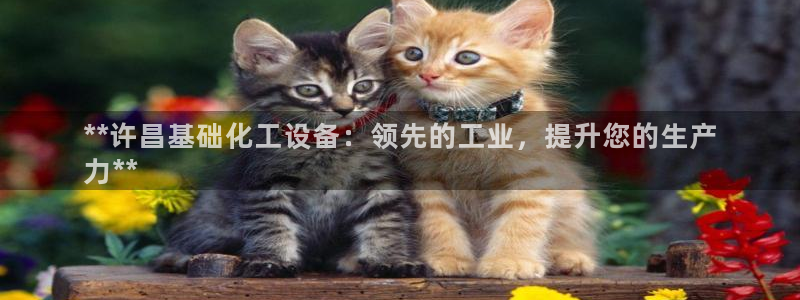 天辰平台总代理：**许昌基础化工设备：领先的工业，