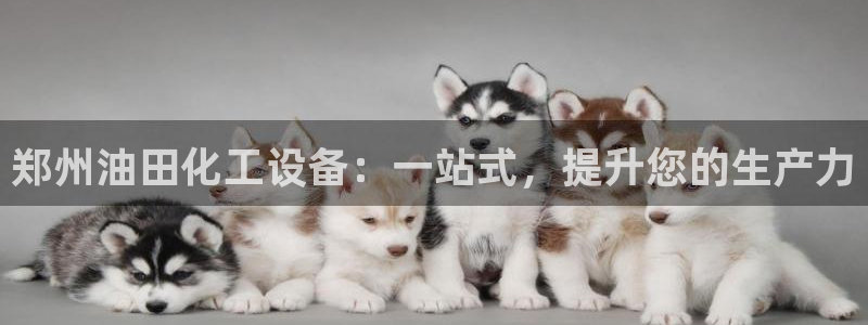 天辰平台用户登录不上怎么办