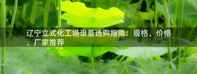 天辰平台游戏退款：辽宁立式化工塔设备选购指南：规格