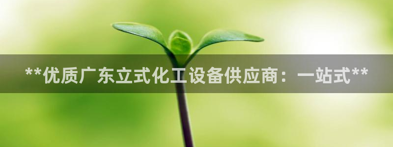 天辰平台会员多少钱：**优质广东立式化工设备供应商：一站式*