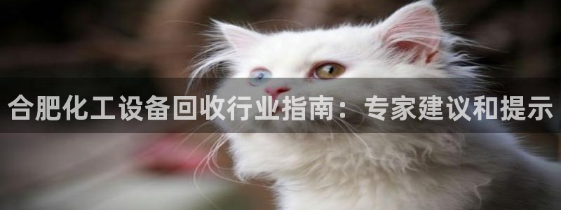 天辰平台会员登录不了