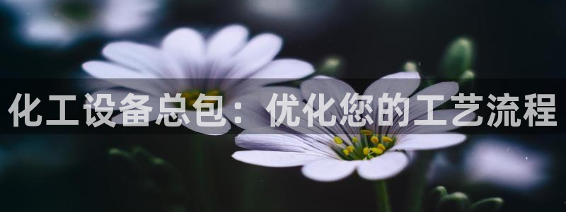 天辰平台会员多少钱：化工设备总包：优化您的工艺流程