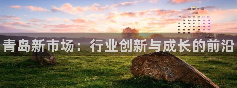 天辰平台登录地址在哪里看：青岛新市场：行业创新与成