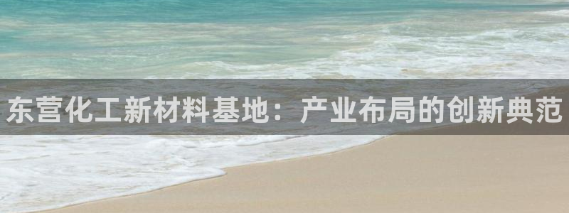 天辰注册会员有什么用：东营化工新材料基地：产业布局