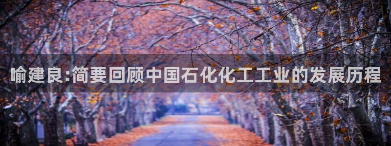 天辰平台注册地址：喻建良:简要回顾中国石化化工工业