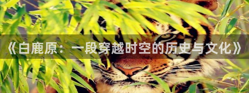 神秘影院