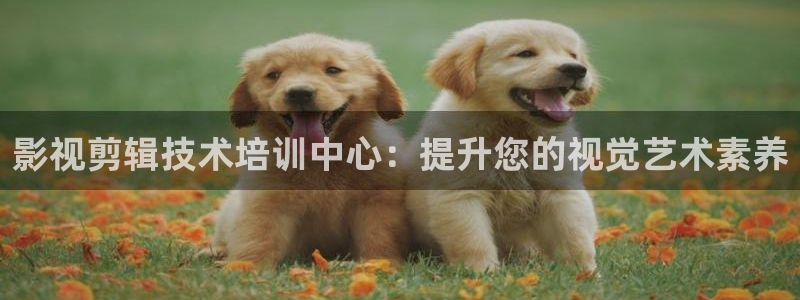 yy神秘影院