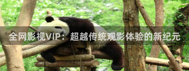 神秘博士高清免费观看