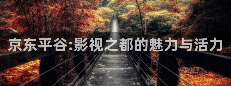 神秘博士高清免费观看