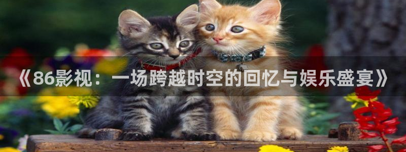 神秘电影国产影院