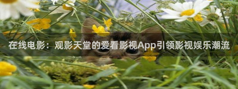 欧美神秘影院