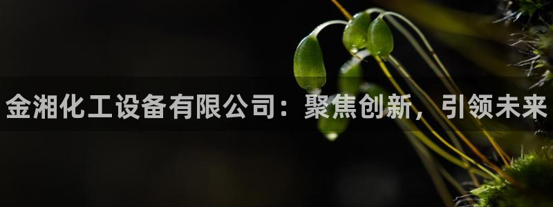天辰网会员多少钱