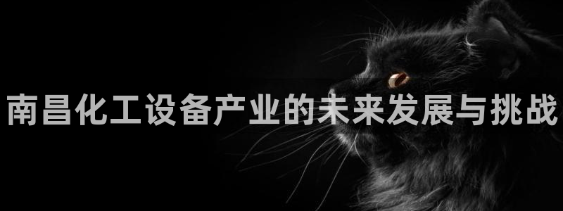 天辰平台用户登录不了怎么办